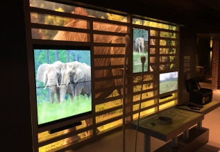 Elephant Discovery Center